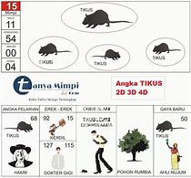 Tafsir Mimpi Menang Main Judi Dalam Togel 2D 3D 4D